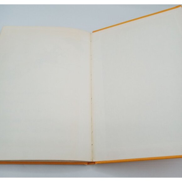 Big Max Worlds Greatest Detective Vintage Childrens Hardcover Book Kin Platt - Picture 15 of 16